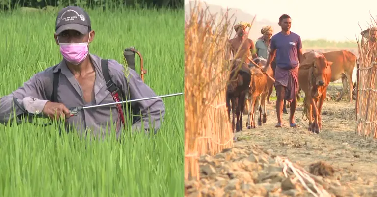 কৃষকদের ছবি